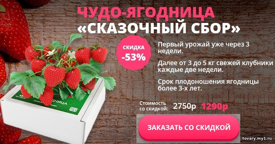 Чудо-ягодница «Сказочный сбор» купить